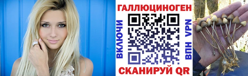 Купить где Ленинградская Псилоцибиновые грибы ЛСД