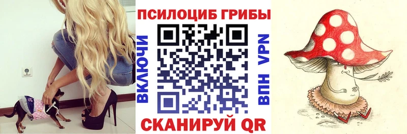 Галлюциногенные грибы прущие грибы Ленинградская